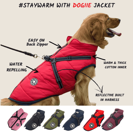 🔥Hot Sale -50% OFF🔥 3 in 1 Winter Waterproof Warm Dog Jacket With Built-in Harness