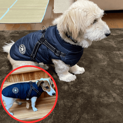 🔥Hot Sale -50% OFF🔥 3 in 1 Winter Waterproof Warm Dog Jacket With Built-in Harness