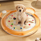 🐶 Лятна охлаждаща водна подложка за кучета и котки